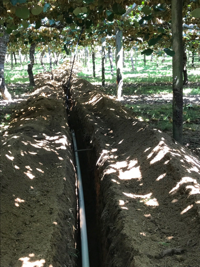 irrigation and frost protection underground pipes